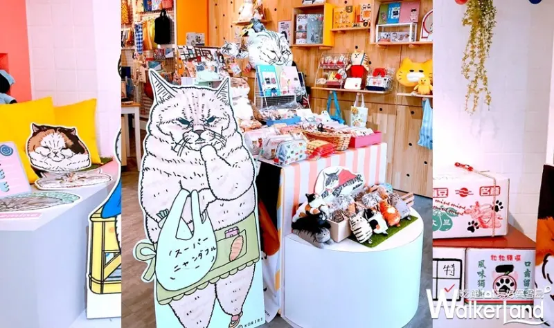 不可思議的貓世界，萌貓特展 / WalkerLand窩客島整理提供 未經許可，不得轉載