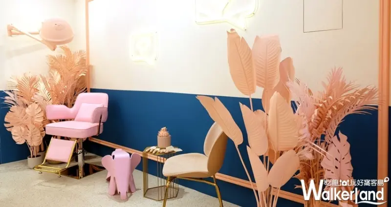 舒油頭（信義北醫館）/ WalkerLand窩客島整理提供 未經許可不可轉載