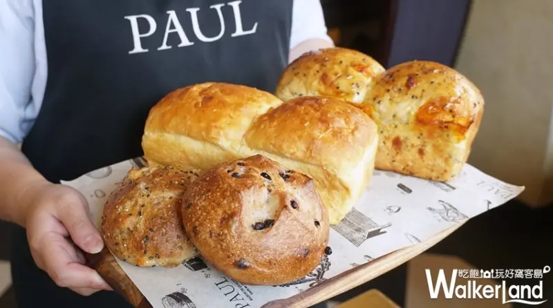PAUL / WalkerLand窩客島提供 未經許可，不得轉載