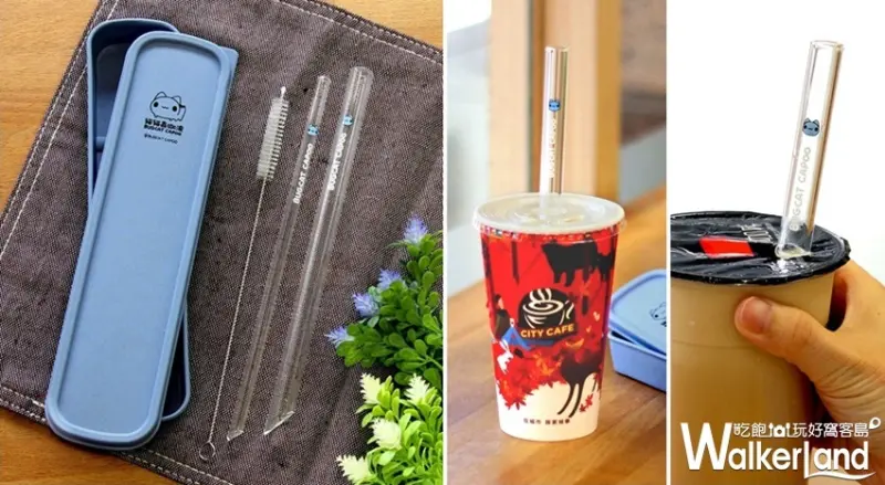 貓貓蟲咖波 / WalkerLand窩客島提供 未經許可，不得轉載