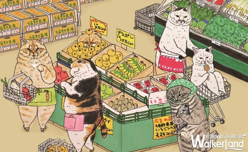 不可思議的貓世界，萌貓特展 / WalkerLand窩客島整理提供 未經許可，不得轉載