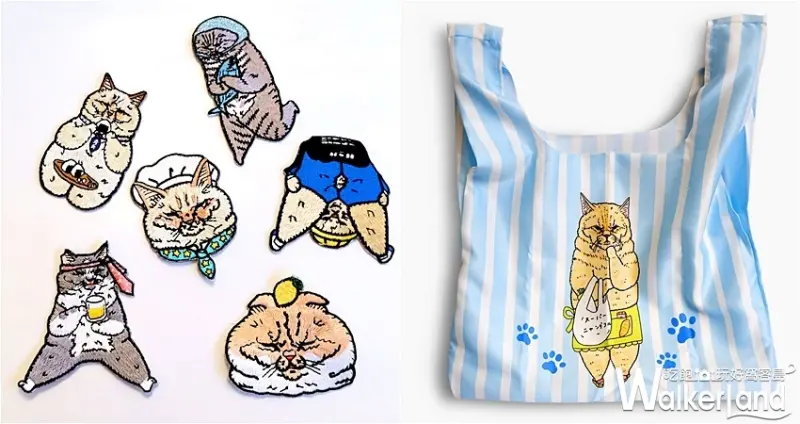 不可思議的貓世界，萌貓特展 / WalkerLand窩客島整理提供 未經許可，不得轉載