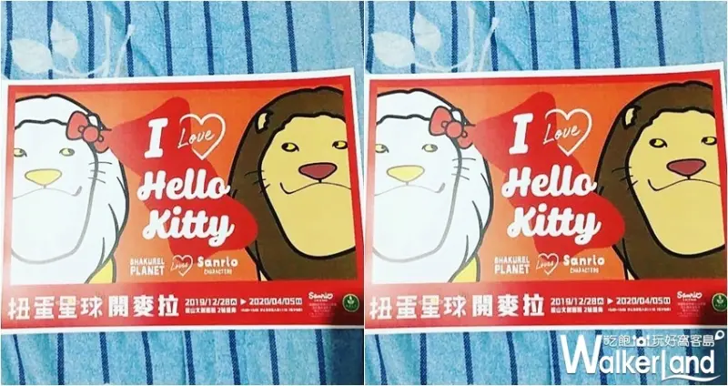 扭蛋星球開麥拉 / WalkerLand窩客島整理提供 未經許可，不得轉載