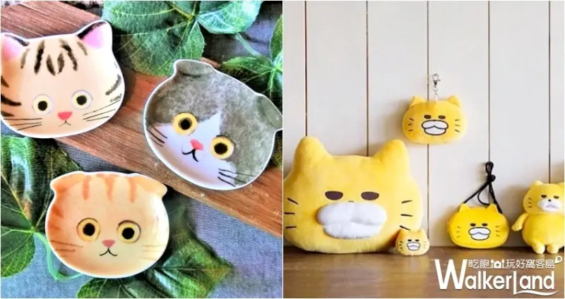 不可思議的貓世界，萌貓特展 / WalkerLand窩客島整理提供 未經許可，不得轉載