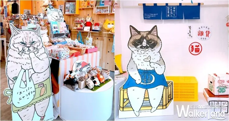不可思議的貓世界，萌貓特展 / WalkerLand窩客島整理提供 未經許可，不得轉載