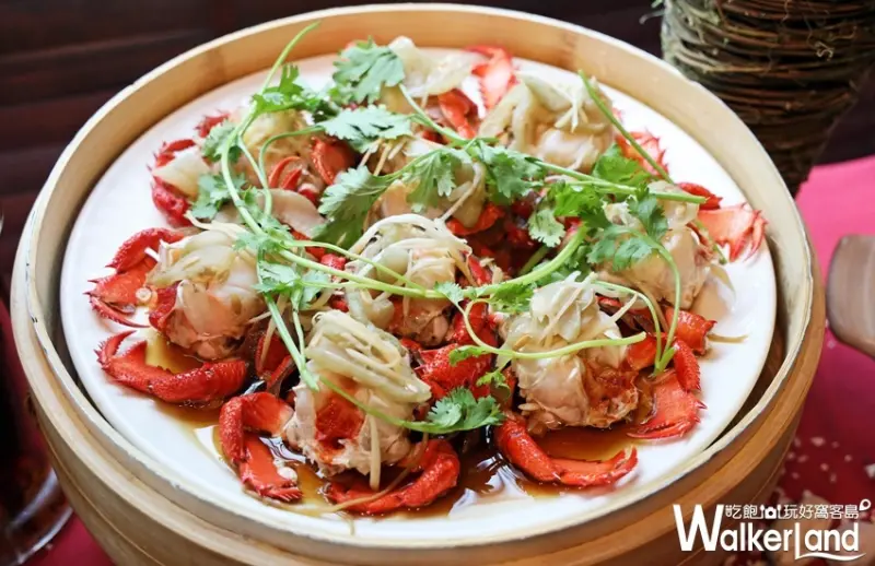 台中金典 / WalkerLand窩客島整理提供 未經許可，不得轉載