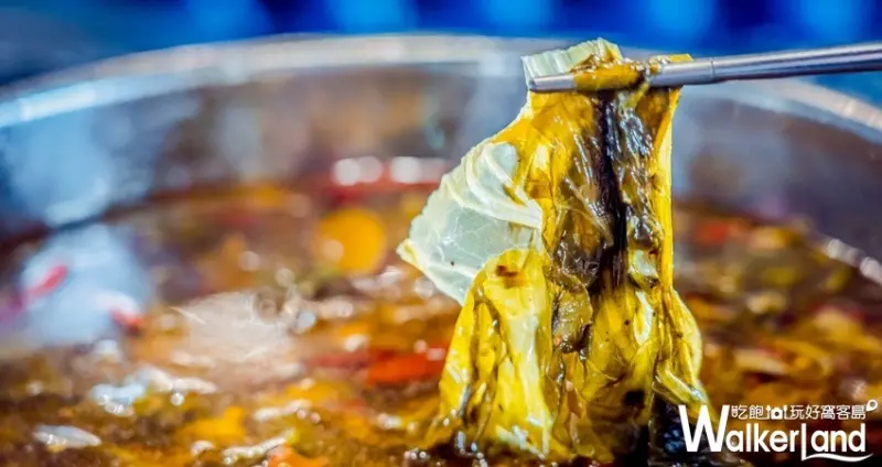 台中公益路川味火鍋「渝悅撒椒」 / WalkerLand窩客島整理提供 未經許可不可轉載