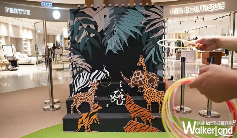 BELLAVITA / WalkerLand窩客島提供 未經許可，不得轉載