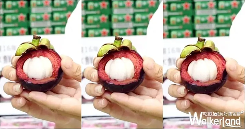 家樂福 山竹 / WalkerLand窩客島整理提供 未經許可，不得轉載