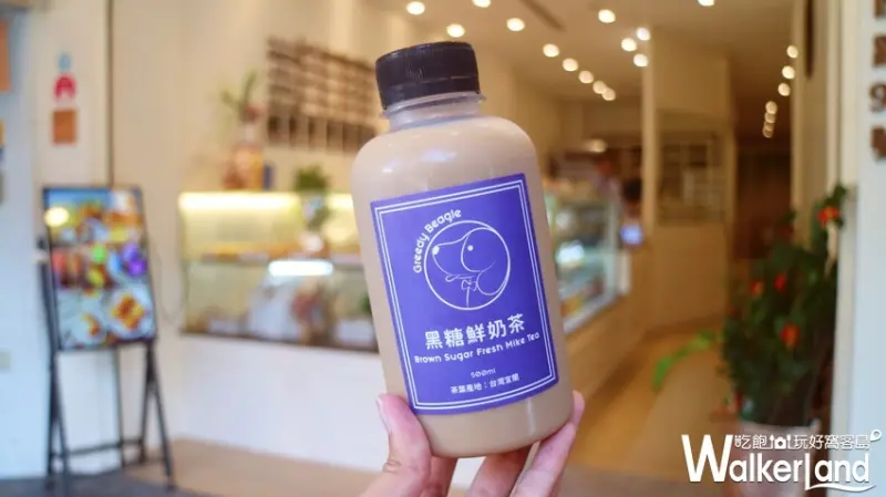 Greedy Beagle 貪吃狗 / WalkerLand窩客島提供 未經許可，不得轉載