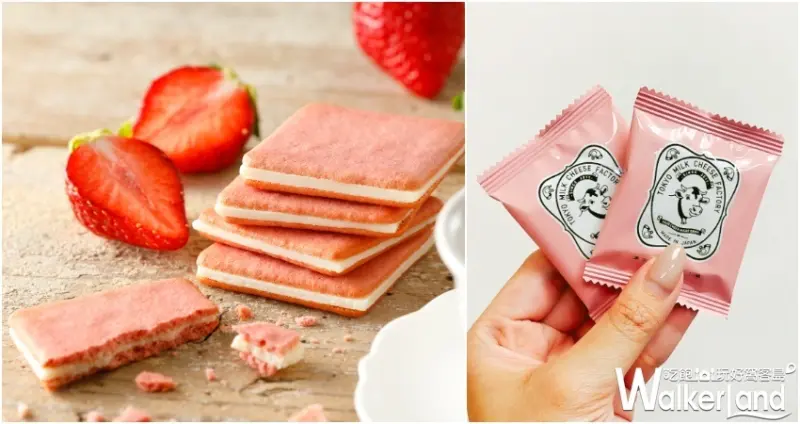 東京牛奶起司工房 Cow Cow Ice霜淇淋專門店(新光中港店) / WalkerLand窩客島整理提供 未經許可不可轉載