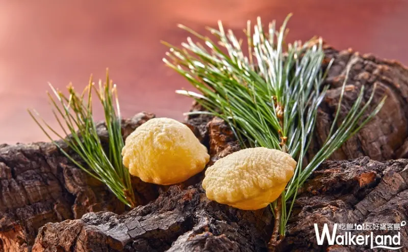 Chefs Club Taipei / WalkerLand窩客島整理提供 未經許可，不得轉載