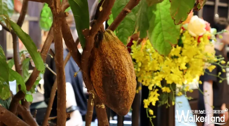 福灣巧克力 台北101直營店 / WalkerLand窩客島整理提供 未經許可，不得轉載