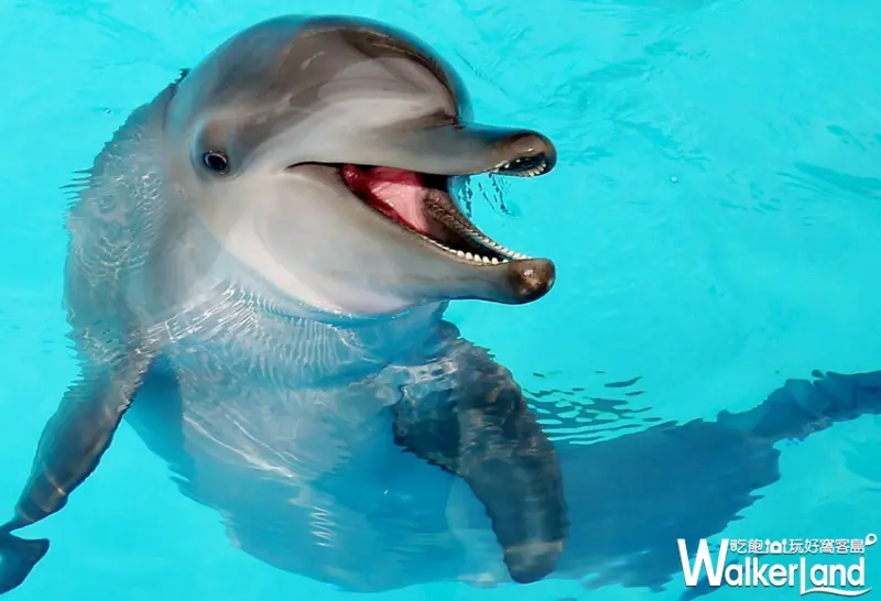 中秋節遊樂園優惠 / WalkerLand窩客島整理提供 未經許可，不得轉載