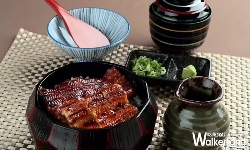 江戸川 台中老虎城店 / WalkerLand窩客島整理提供 未經許可，不得轉載