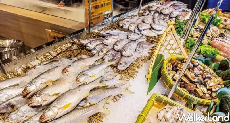 虎樂 / WalkerLand窩客島提供 未經許可，不得轉載