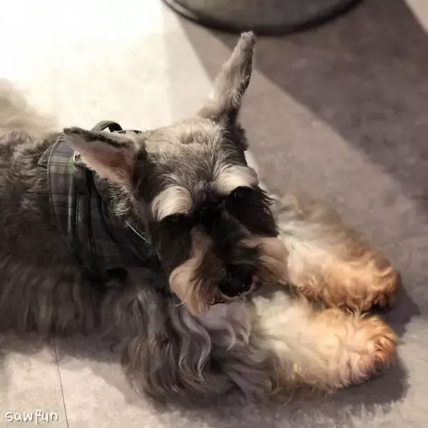 Jiala coffee 加辣咖啡 /美食窩客 遇fun胃wei2的甜食胃&鹹食胃 提供 未經許可，不得轉載