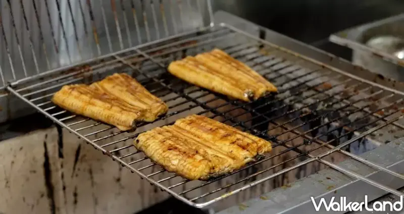 信義區鰻魚飯「三角守破離」 / WalkerLand窩客島整理提供 未經許可不可轉載