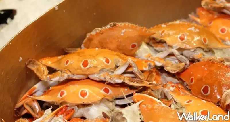 吃到飽「漢來海港」 / WalkerLand窩客島整理提供 未經許可不可轉載