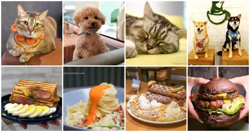 台北11間寵物友善餐廳 / WalkerLand窩客島整理提供 未經許可，不得轉載