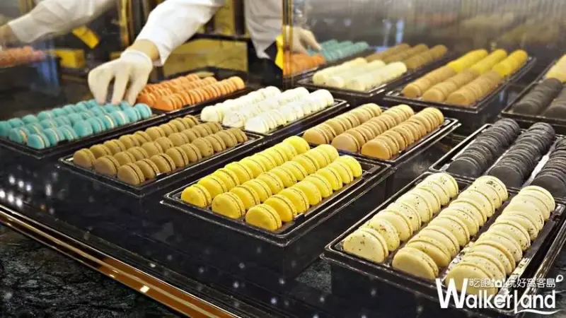 新光三越中港店 / WalkerLand窩客島提供 未經許可，不得轉載