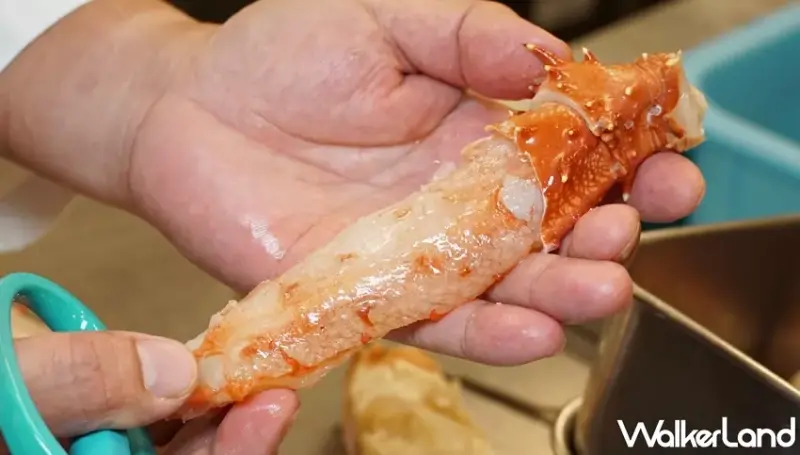 金子半之助 / WalkerLand窩客島提供 未經許可，不得轉載