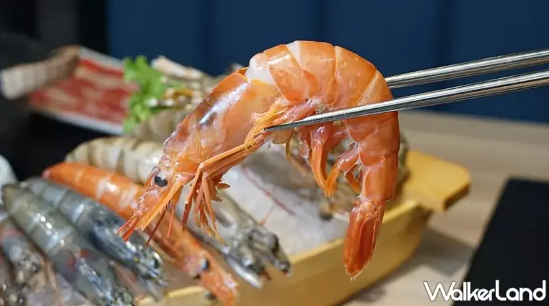 星野肉肉鍋Mini  / WalkerLand窩客島提供 未經許可，不得轉載