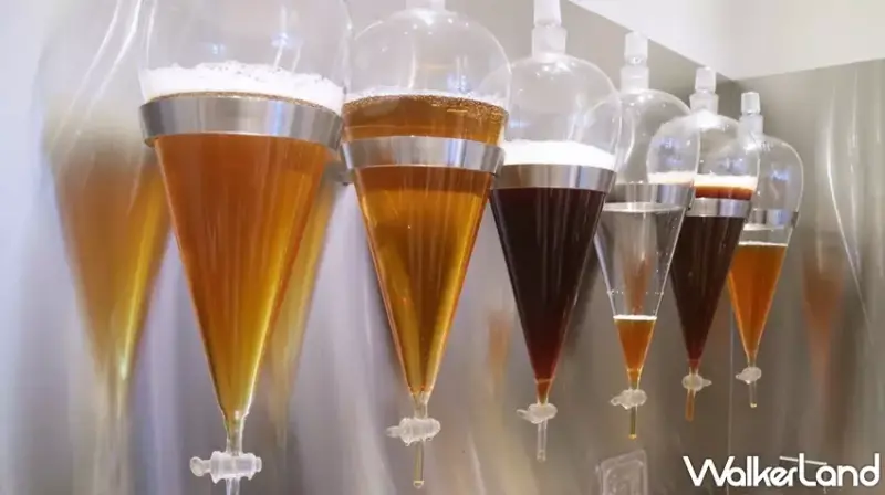 采采食茶 手搖飲 / WalkerLand窩客島提供 未經許可，不得轉載