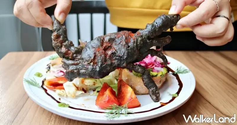 樂子the Diner摩力黑派對 / WalkerLand窩客島提供 未經許可，不得轉載