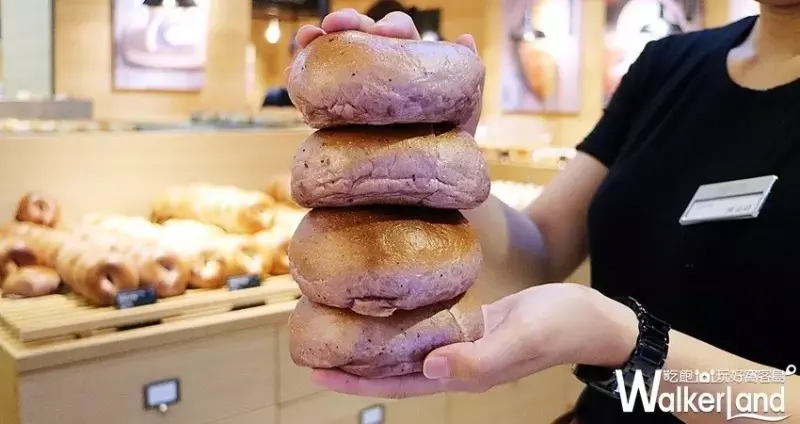 貝果Miopane（板橋環球店） / WalkerLand窩客島整理提供 未經許可不可轉載