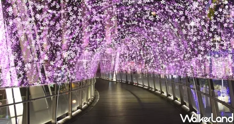 板橋「2019新北市歡樂耶誕城」 / WalkerLand窩客島整理提供 未經許可不可轉載