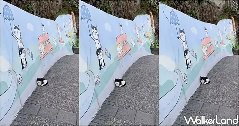 2019貓村藝術季 / WalkerLand窩客島整理提供 未經許可，不得轉載