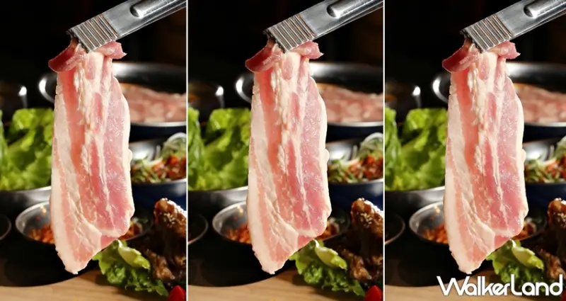 笨跳豬 / WalkerLand窩客島提供 未經許可，不得轉載