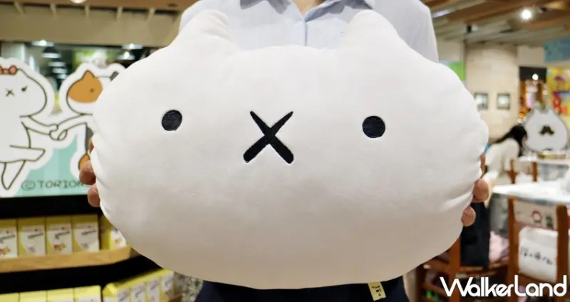 反應過激的貓 / WalkerLand窩客島提供 未經許可，不得轉載