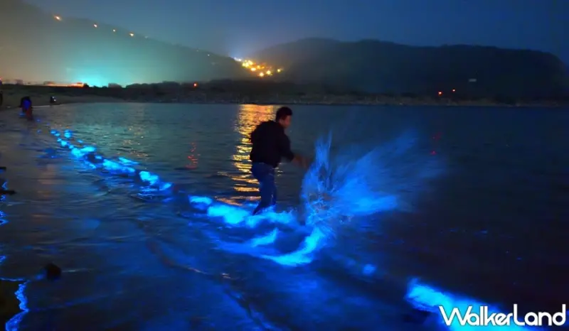 馬祖藍眼淚/ WalkerLand窩客島整理提供 未經許可，不得轉載