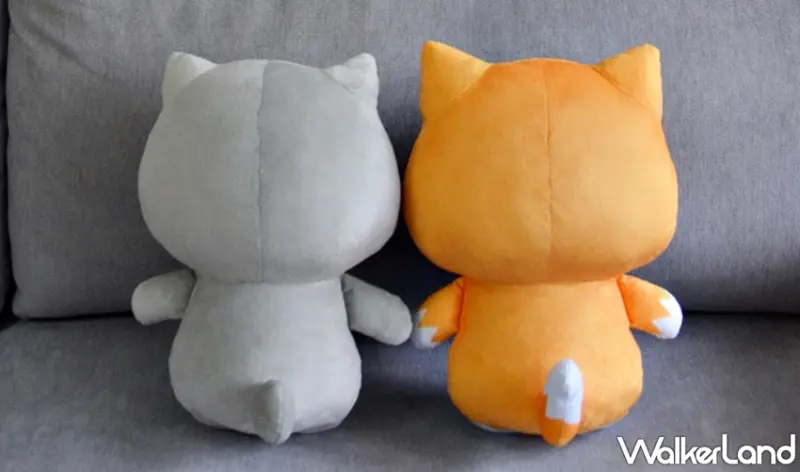 貓爪抓 / WalkerLand窩客島提供 未經許可，不得轉載