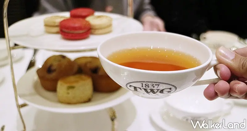 TWG TEA / WalkerLand窩客島提供 未經許可，不得轉載