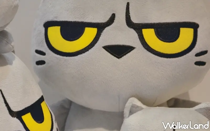 貓爪抓 / WalkerLand窩客島提供 未經許可，不得轉載