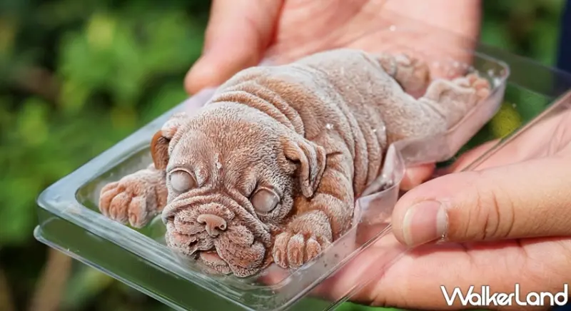 全家  / WalkerLand窩客島提供 未經許可，不得轉載