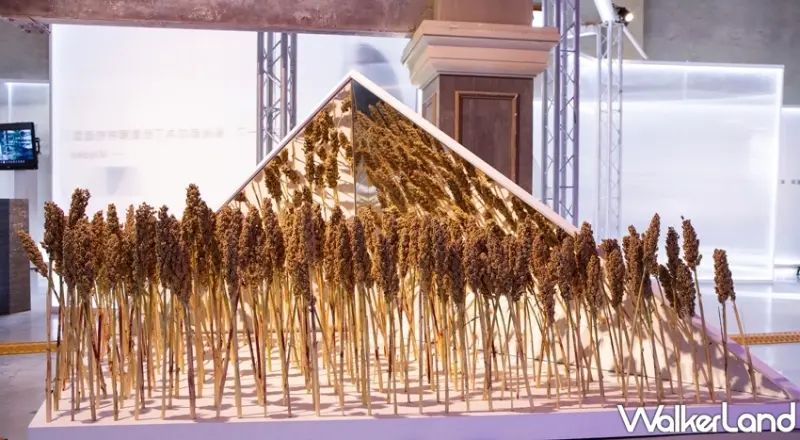 It’s Me 我的生活派對/ WalkerLand窩客島整理提供 未經許可，不得轉載