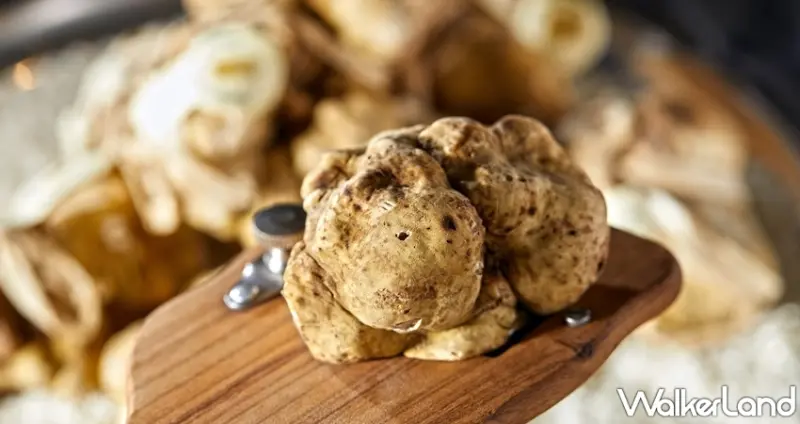 台北文華東方酒店Bencotto / WalkerLand窩客島整理提供 未經許可，不得轉載