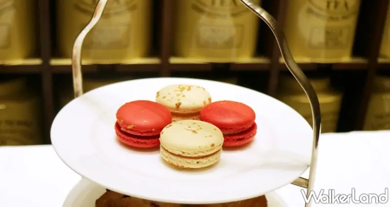 TWG TEA / WalkerLand窩客島提供 未經許可，不得轉載