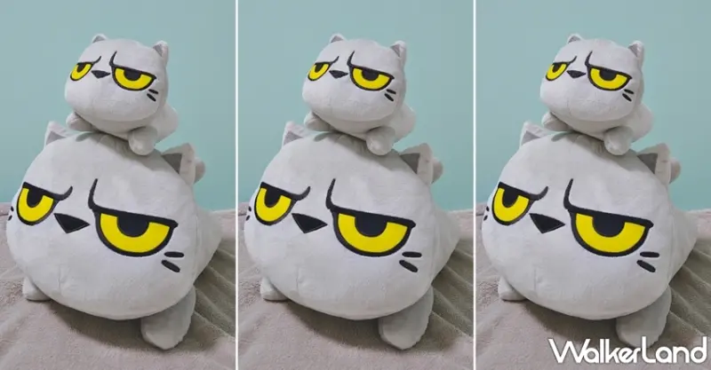 貓爪抓 / WalkerLand窩客島提供 未經許可，不得轉載