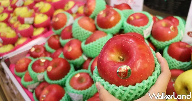 遠百日本弘前文物展 / WalkerLand窩客島提供 未經許可，不得轉載