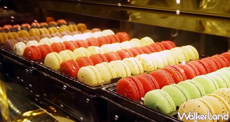 TWG TEA / WalkerLand窩客島提供 未經許可，不得轉載