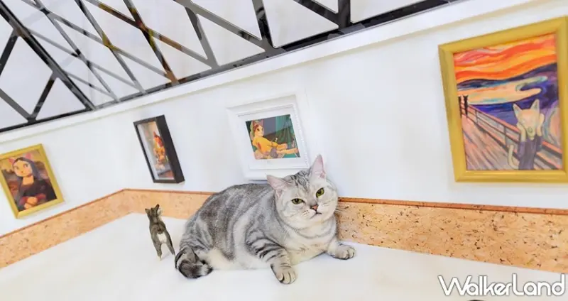 貓•美術館 高雄場 / WalkerLand窩客島整理提供 未經許可，不得轉載