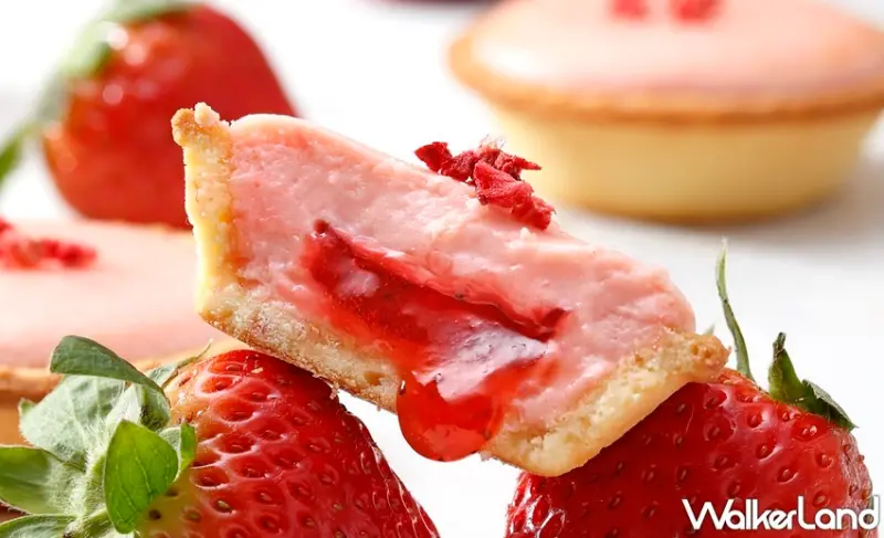 安普蕾修 / WalkerLand窩客島提供