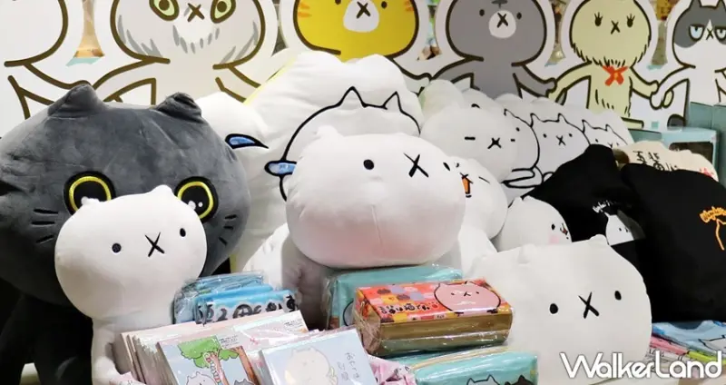 反應過激的貓 / WalkerLand窩客島提供 未經許可，不得轉載