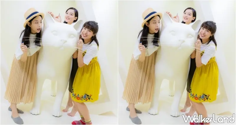 貓•美術館 高雄場 / WalkerLand窩客島整理提供 未經許可，不得轉載