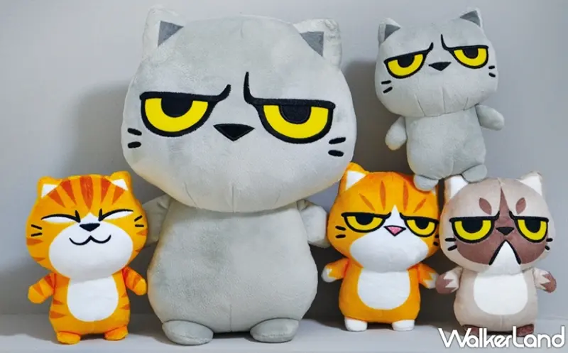 貓爪抓 / WalkerLand窩客島提供 未經許可，不得轉載